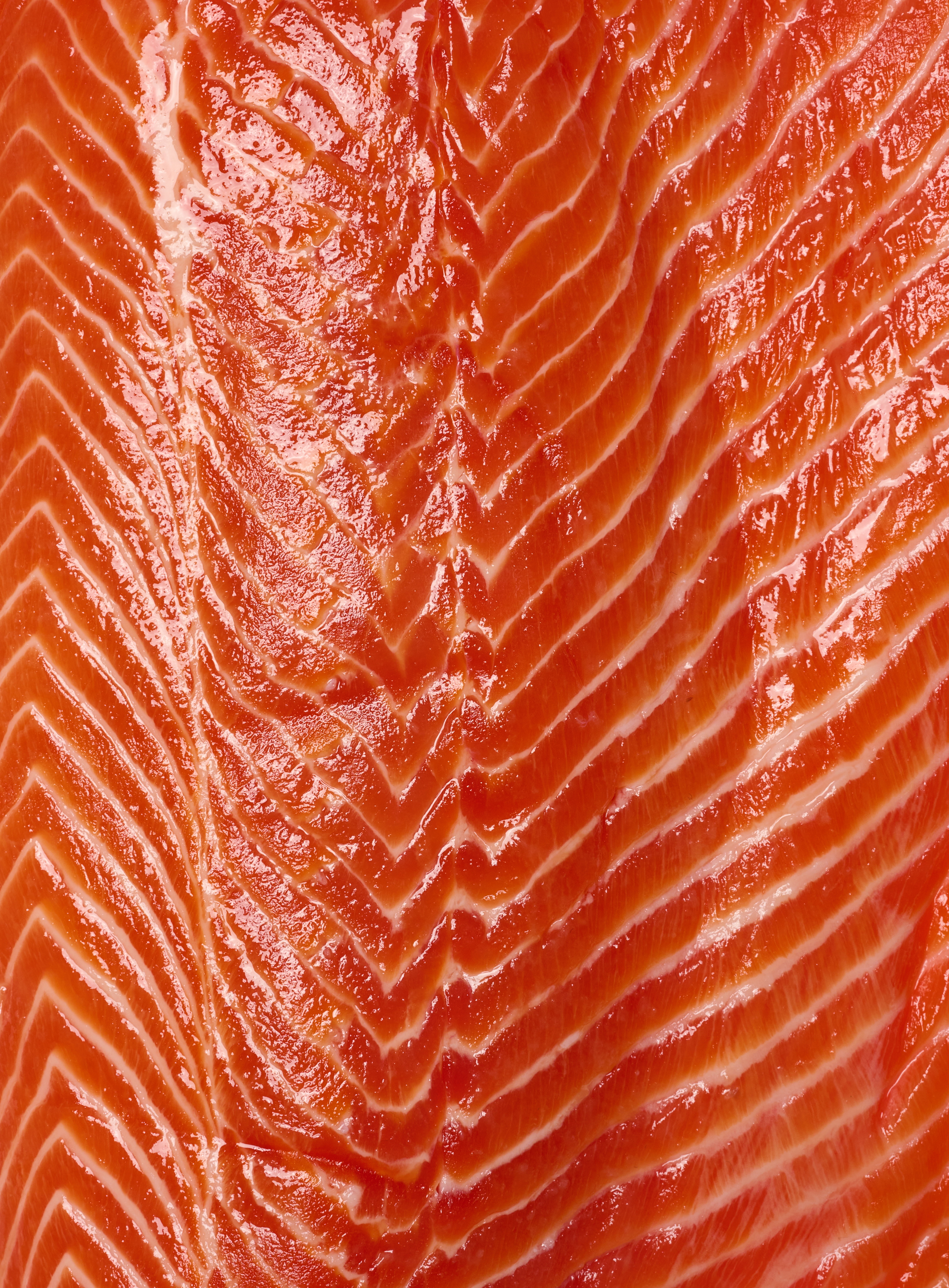 Tekstura Syrogo File Foreli Sverhu